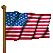 Waving US Flag.